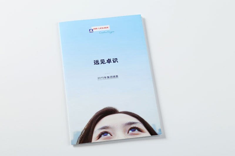 折页印刷-远见卓识
