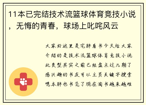 11本已完结技术流篮球体育竞技小说，无悔的青春，球场上叱咤风云