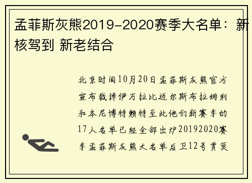 孟菲斯灰熊2019-2020赛季大名单：新核驾到 新老结合